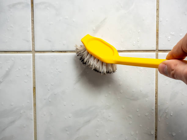 Best Mold Damage Repair  in North Branch, MI