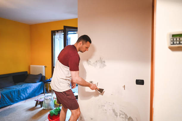 Best Toxic Mold Removal  in North Branch, MI
